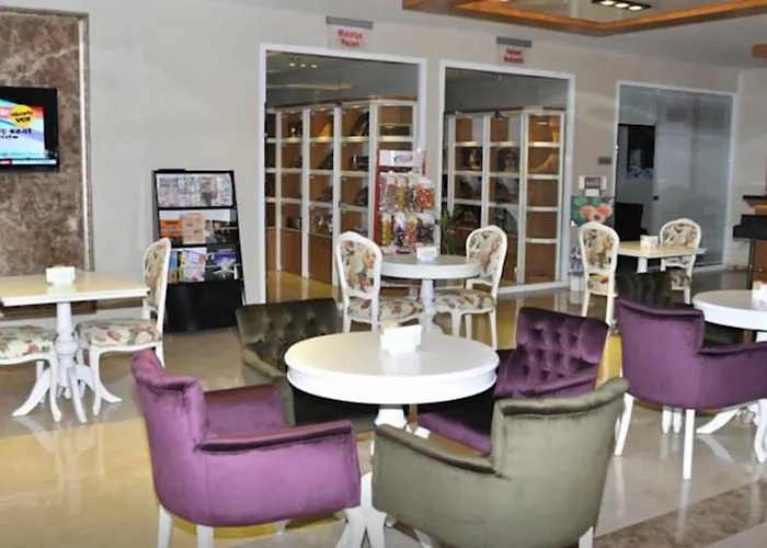 Hotel Hanem Sogut (Aegean)