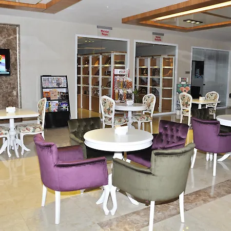 Hotel Hanem Sogut (Aegean)