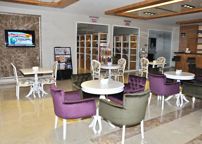 Hotel Hanem Sogut (Aegean)