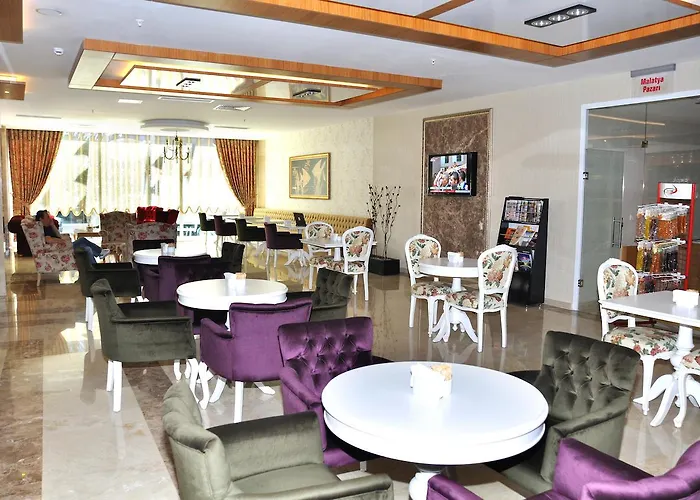 Hotel Hanem Sogut (Aegean)